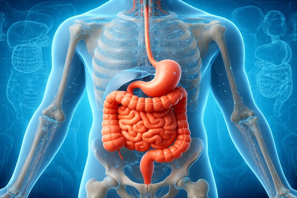 Postul intermitent scade inflamaţia şi ameliorează simptomele în boala Crohn, sugerează un studiu