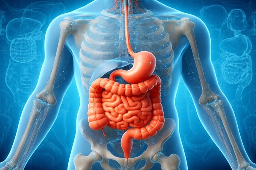Postul intermitent scade inflamaţia şi ameliorează simptomele în boala Crohn, sugerează un studiu