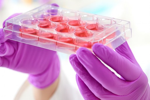 VIDEO Oamenii de ştiinţă au reuşit să „întinerească" în laborator celule stem din sânge
