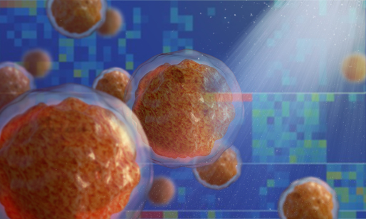 Modificări timpurii ale măduvei osoase pot prevesti apariţia cancerelor de sânge