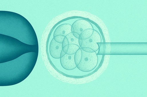 Testele genetice pentru evaluarea embrionilor în FIV ar putea supraestima anomaliile şi respinge embrioni sănătoşi, potrivit unui nou studiu