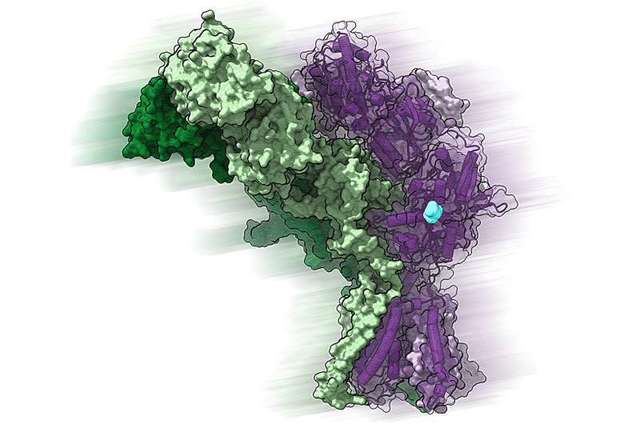 Sleeping Protein Brain Disease Psychiatric Neurology Video Discovery