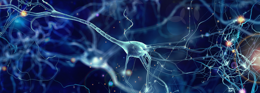 Microplasticele din creier, potenţial factor neglijat în apariţia demenţei vasculare