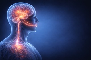 Bacteriile orale ajunse în intestin ar putea avea un rol în dezvoltarea bolii Parkinson printr-un mecanism intestin–creier, arată un studiu nou