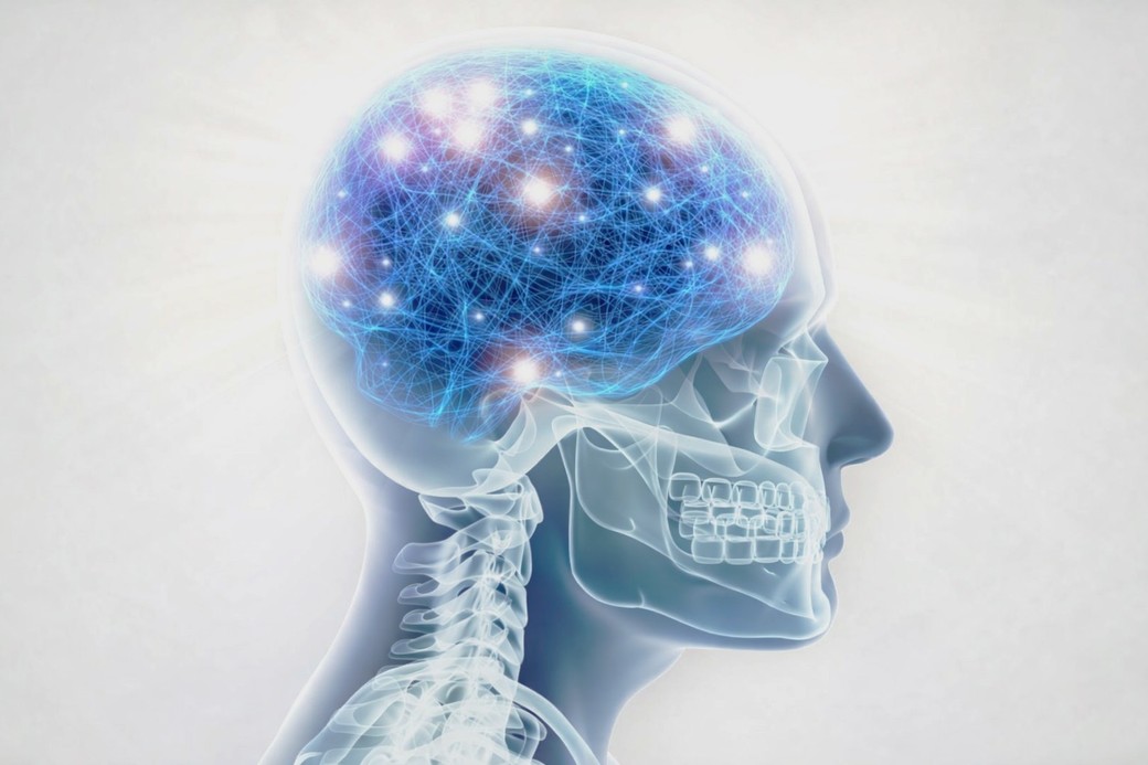 O proteină identificată de cercetători ajută creierul îmbătrânit să se regenereze