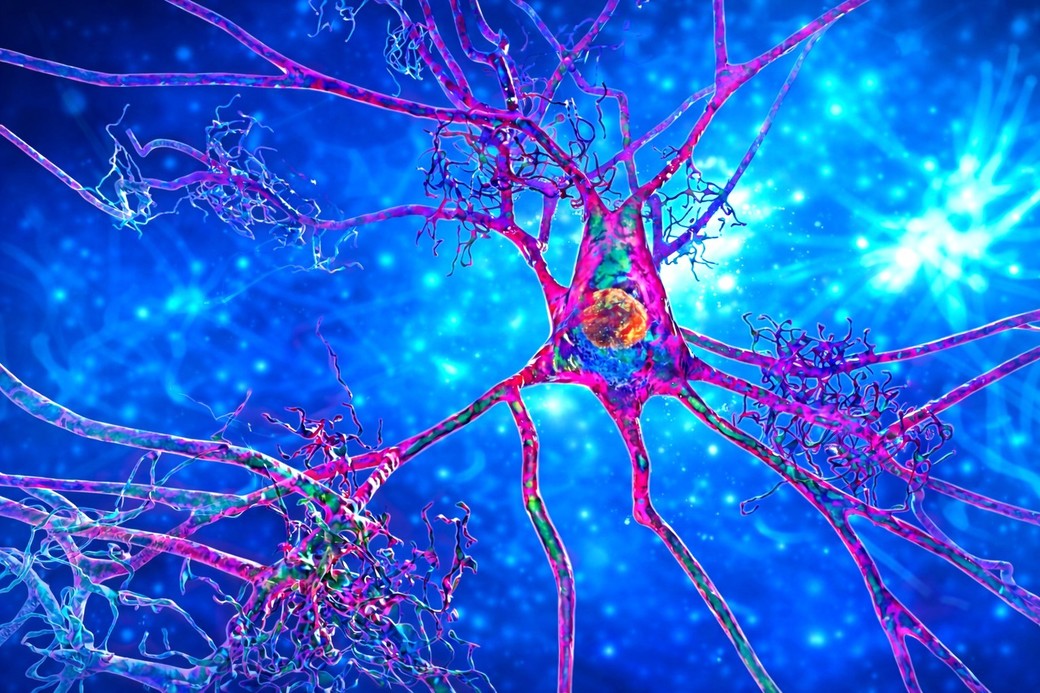 Funcţia vasculară cerebrală, posibil indicator precoce al riscului de Alzheimer