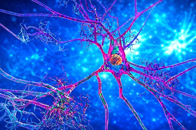 Funcţia vasculară cerebrală, posibil indicator precoce al riscului de Alzheimer