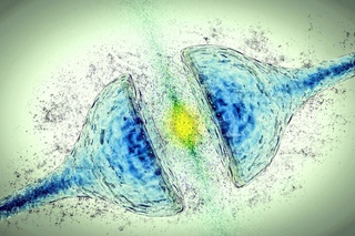 Un alt mecanism implicat în Alzheimer? Cercetări noi pun sub semnul întrebării teoriile actuale
