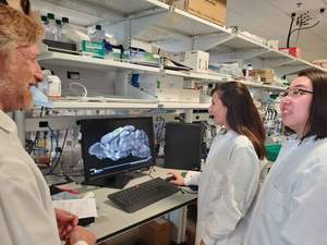 În premieră, oamenii de ştiinţă au corectat un defect genetic  la şoareci asociat cu autismul şi epilepsia