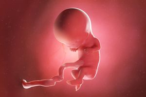 Poluarea aerului afectează dezvoltarea cerebrală fetală, avertizează experţii