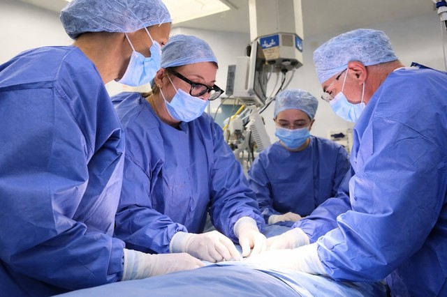 Poza pentru articolul Progrese în medicina reproductivă: Primul copil născut în Marea Britanie după transplant de uter de la donator decedat