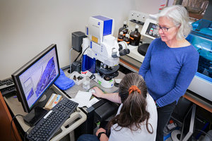 Tratament injectabil care ar putea inversa osteoartrita în câteva săptămâni, testat în studii pe animale