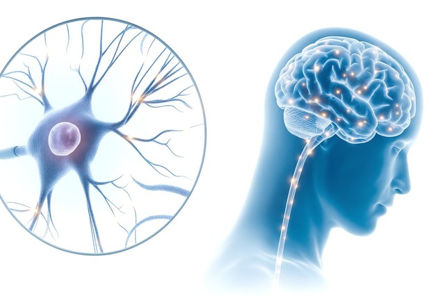 Descoperiri recente asupra celulelor cerebrale schimbă fundamental înţelegerea tulburărilor psihice