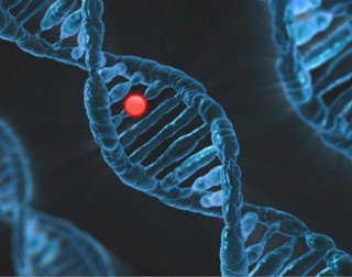 Prima genă identificată ca factor unic în apariţia tulburărilor psihice