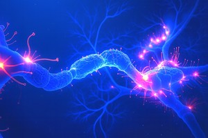 O tehnică inovatoare de imagistică deschide noi perspective de tratament împotriva bolii Parkinson