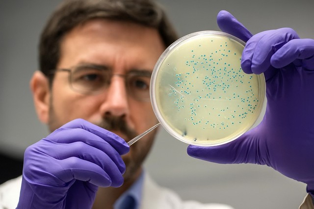 Superbacteria Antibiotics: New Generation Research