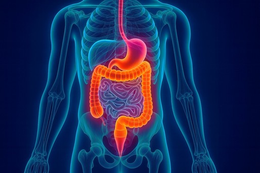 Un nou antibiotic promiţător pentru bolile inflamatorii intestinale, validat cu ajutorul AI