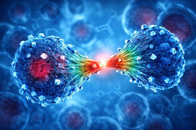 新しい AI モデルはがんの広がりをほぼ 80% の精度で予測できる