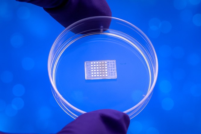 Un dispozitiv inovator pentru livrarea controlată a medicamentelor accelerează vindecarea inimii după infarct 