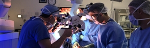 Inovaţie în chirurgie: un medicament permite o mai bună identificare a ţesuturilor nervoase în timpul intervenţiilor complexe