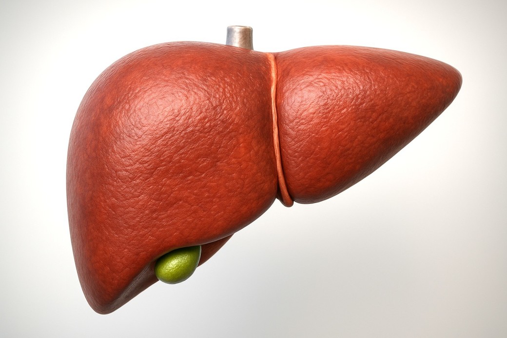 Descoperire-cheie în biologia ficatului, privind legătura dintre dezechilibrul acizilor biliari şi cancerul hepatic
