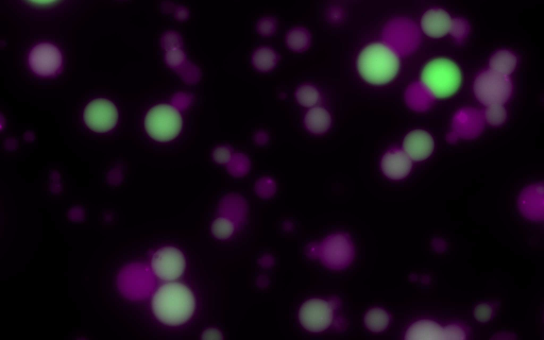 Celulele artificiale activate cu câmp magnetic ar putea revoluţiona tratamentele ţintite pentru cancer şi infecţii