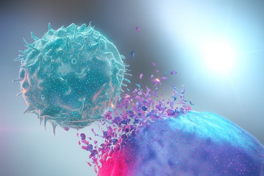 Un nutrient găsit în legume şi fructe ar putea întări răspunsul imun împotriva cancerului