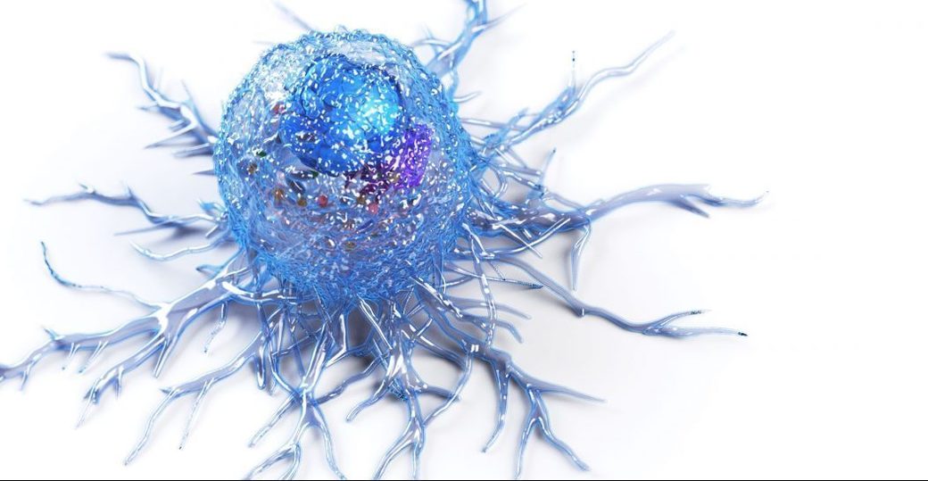 O proteină implicată în pierderea memoriei pare să ajute sistemul imunitar în combaterea cancerului