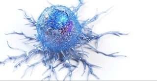 O proteină implicată în pierderea memoriei pare să ajute sistemul imunitar în combaterea cancerului