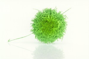 Celulele imune „invizibile” care elimină cancerul fără a declanşa reacţii adverse grave