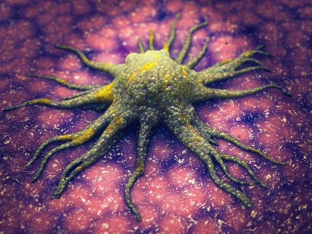 2種類のがんの発症を予防できる新たな治療標的を研究者が特定