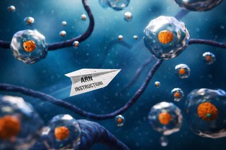 Cum rescriu celulele canceroase instrucţiunile genetice pentru a susţine creşterea tumorilor. Cercetări recente ar putea oferi indicii pentru identificarea unor noi ţinte de tratament